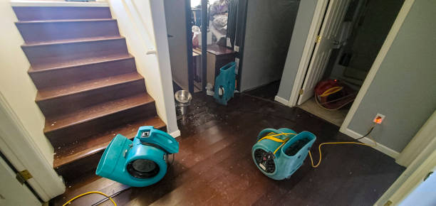 Best Basement water damage restoration  in Raoul, GA