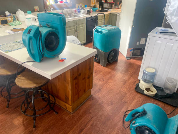 Best Emergency water damage restoration  in Raoul, GA