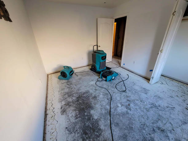 Best Ceiling water damage repair  in Raoul, GA