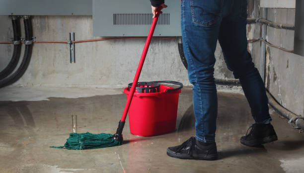 Best Flood restoration services  in Raoul, GA