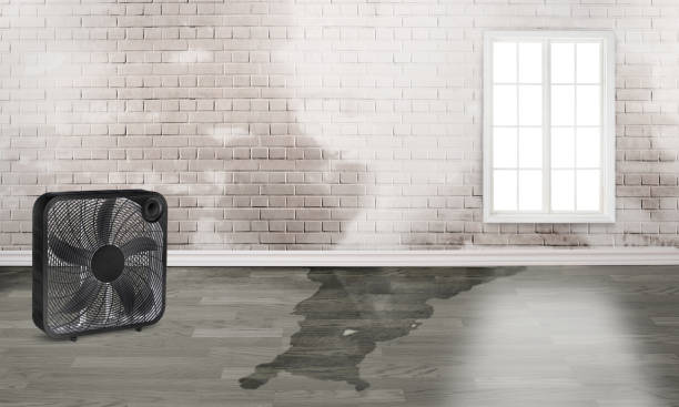 Best Sewage cleanup and water damage restoration  in Raoul, GA