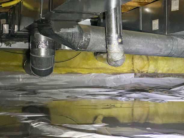 Best Water damage cleanup near me  in Raoul, GA