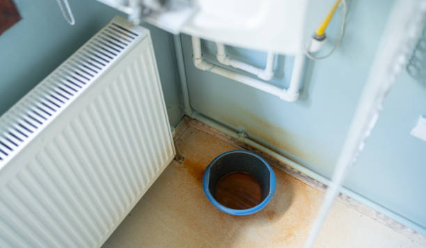 Best Mold removal after water damage  in Raoul, GA